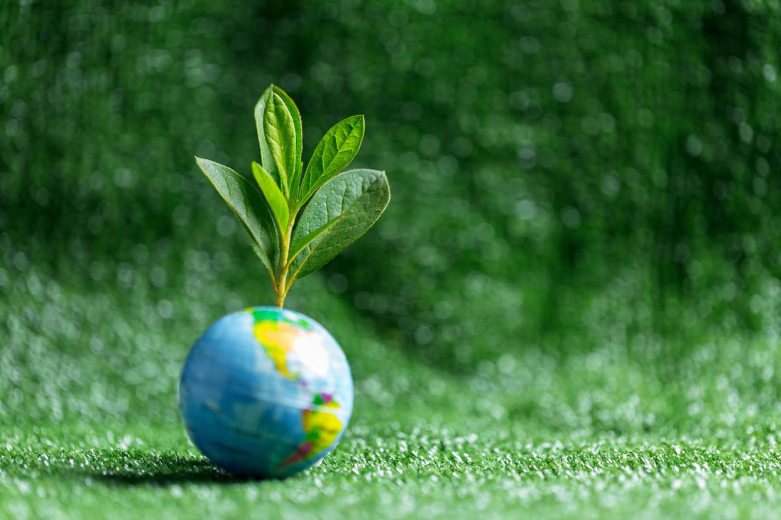 Eine kleiner Zweig, der aus einem kleinen Erdkugelmodell hervorschaut auf grünem Hintergrund