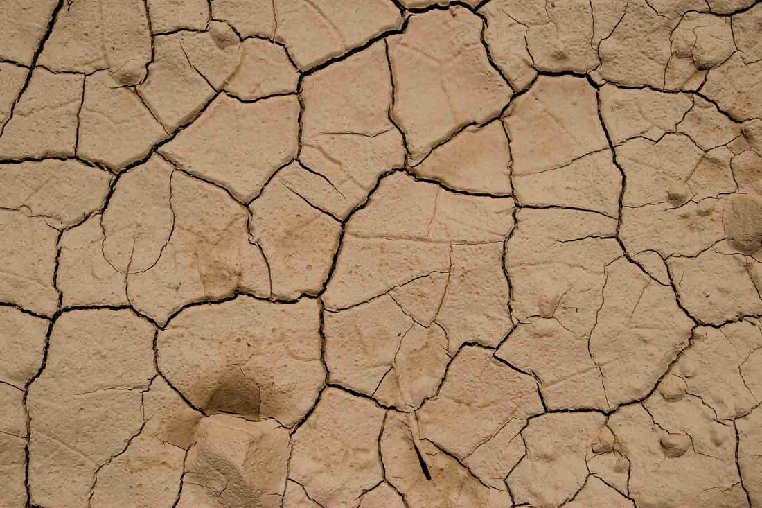 Ausgetrockneter Lehmboden