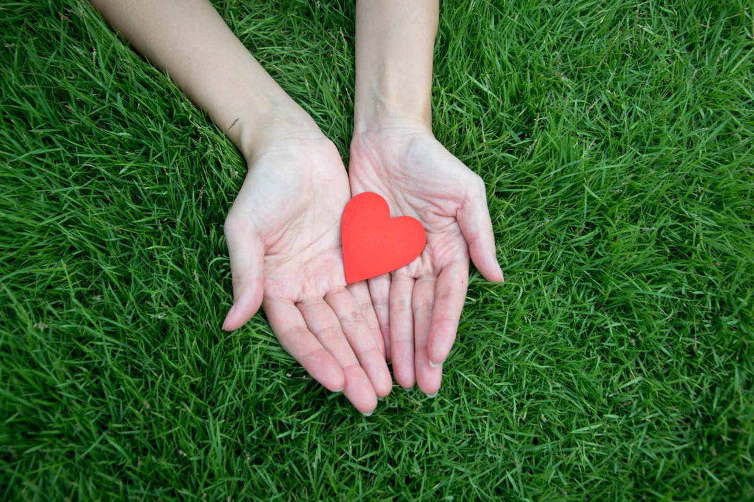 Hände liegen auf Grad uns halten ein rotes Herz aus Papier