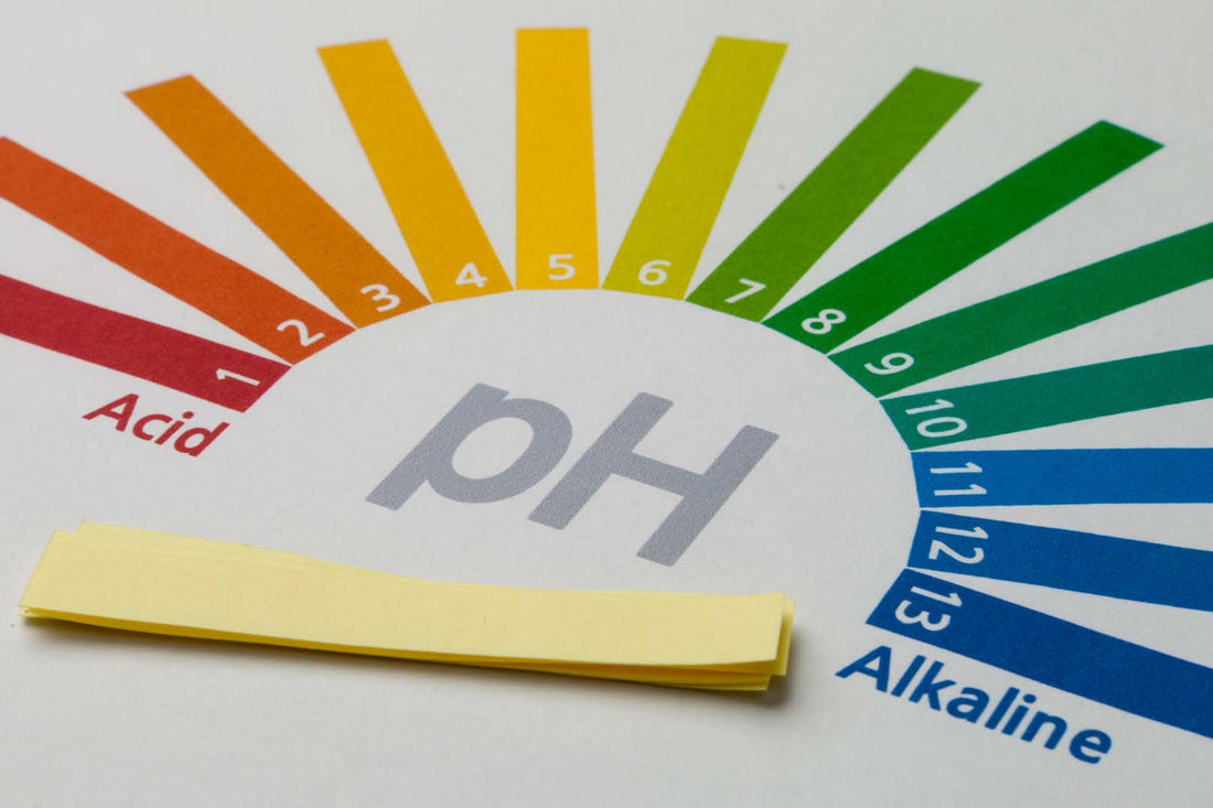 ph-Wert-Skala von sauer zu basisch