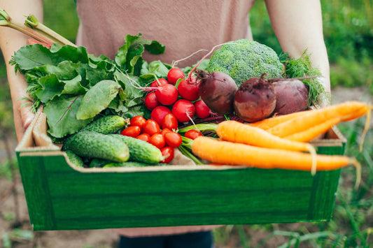Hände halten eine Kiste mit frischem Gemüse wie Radieschen und Karotten