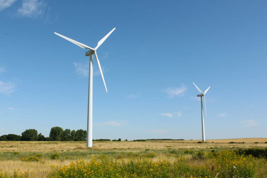 Windräder auf einer Wiese im Sommer