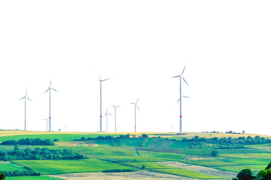 Wiesenlandschaft mit Windrädern