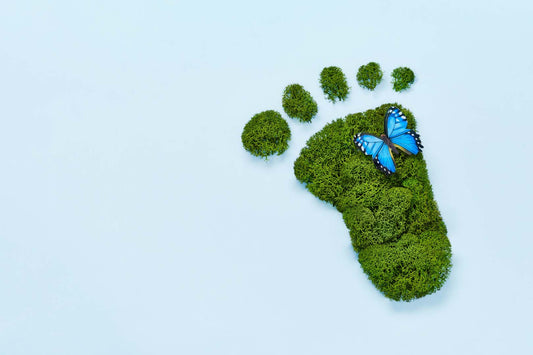 Aus Moos geformter Fußabdruck mit blauem Schmetterling drauf