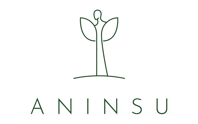 Aninsu Logo