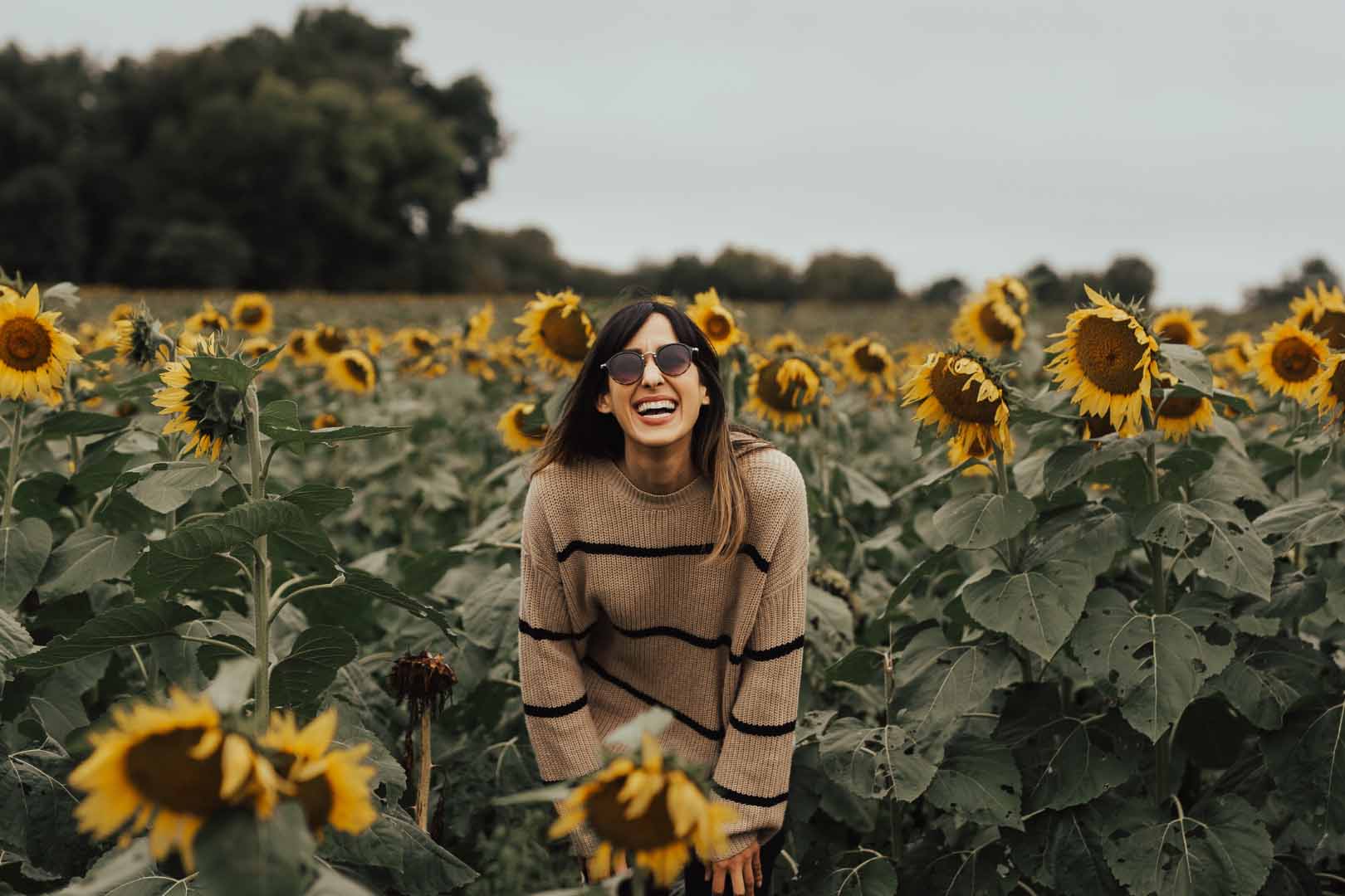 Junge Frau inmitten von Sonnenblumen